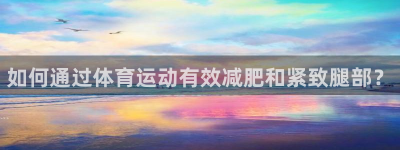 风速体育nba直播