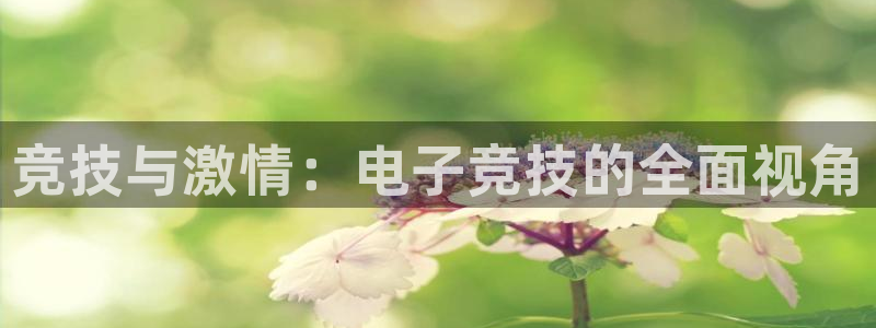 风速体育app