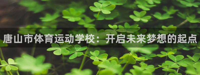风速体育app