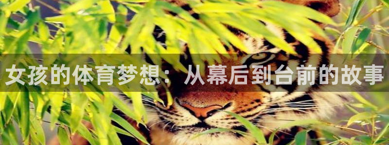 风速体育：女孩的体育梦想：从幕后到台前的故事
