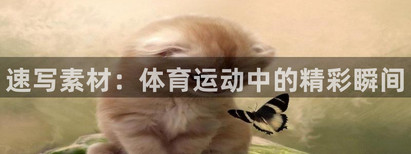 下载风速体育