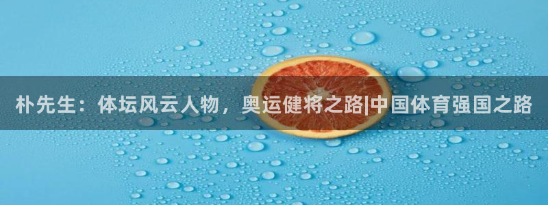 风速体育下载