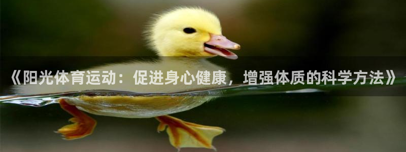 风速体育nba直播：《阳光体育运动：促进身心健康，增强体质的科学方法》