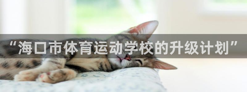 风速体育：“海口市体育运动学校的升级计划”
