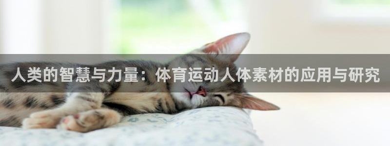 风速体育下载：人类的智慧与力量：体育运动人体素材的应用与研究