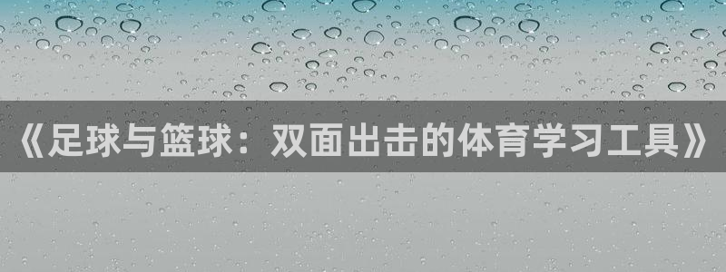 风速体育