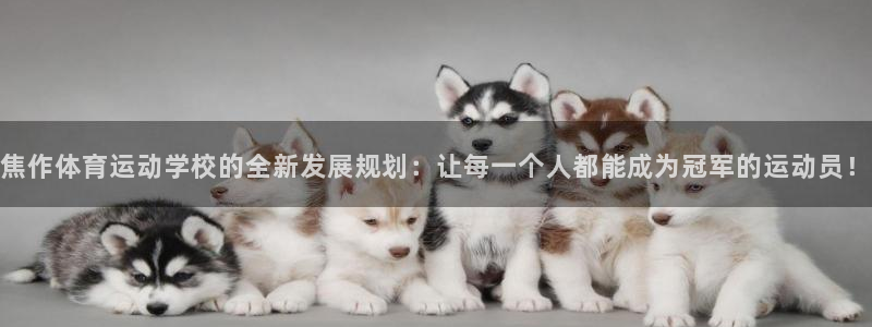 风速体育nba免费直播：焦作体育运动学校的全新发展规划：让每一个人都能成为冠军的运动员！